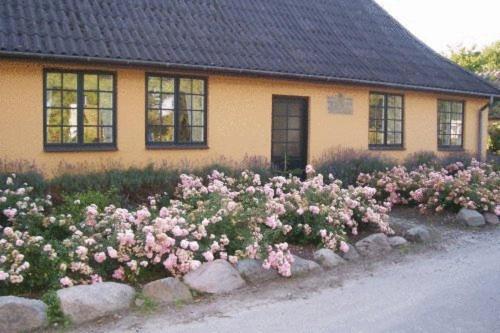 Dyrlev Bed & Breakfast Praesto Exterior photo